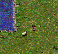 Encounter.gif (21009 bytes)