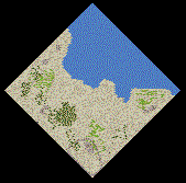 Panormus.gif (6498 bytes)