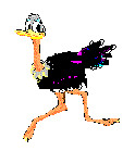 ostrich.gif (2212 bytes)
