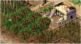 fruitfarmsneak.jpg (19914 bytes)