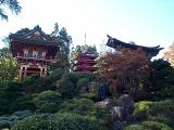 [Photo of the Japanese Tea Garden]