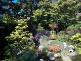 [Photo of the Japanese Tea Garden]