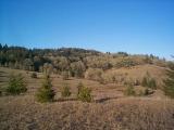 [Corvallis hills photo]