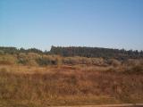 [Corvallis hills photo]